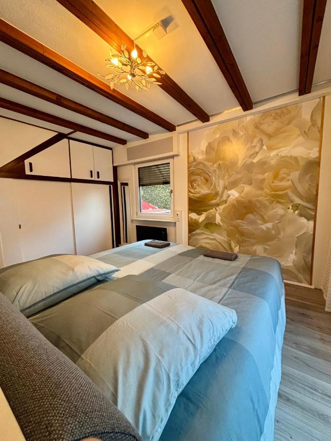 Ferienhaus Veronika Odenwald Brensbach